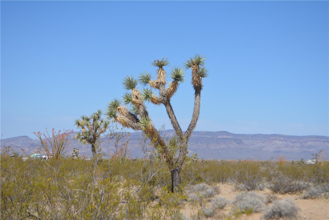 Lot P6 Suzette Road Yucca, AZ 86438 - Photo 30 of 100 Black Mountains