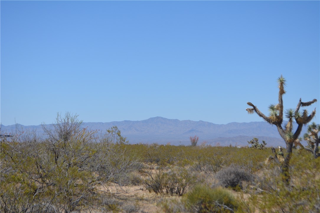 Lot P6 Suzette Road Yucca, AZ 86438 - Photo 3 of 100 Mohave Mountains