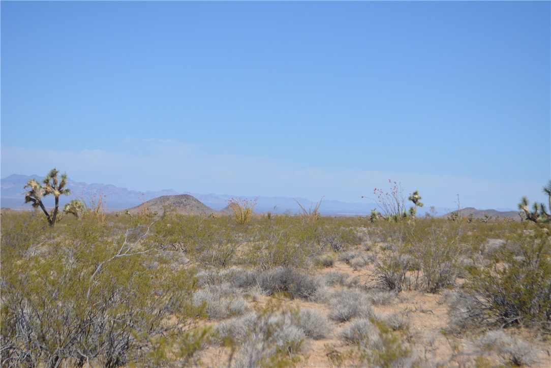 Lot P6 Suzette Road Yucca, AZ 86438 - Photo 37 of 100 View