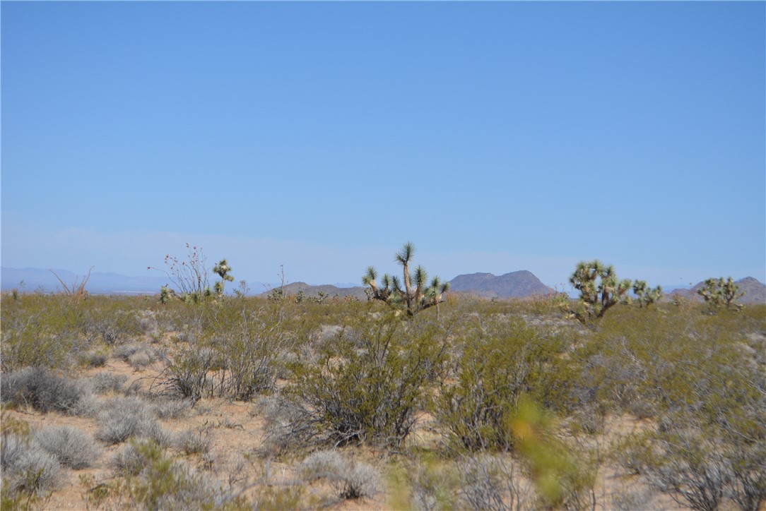 Lot P6 Suzette Road Yucca, AZ 86438 - Photo 38 of 100 View