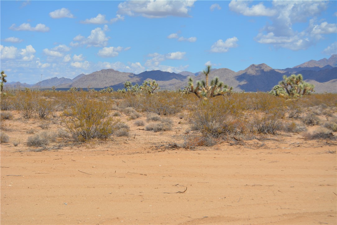 Lot P6 Suzette Road Yucca, AZ 86438 - Photo 4 of 100 Big cleared area