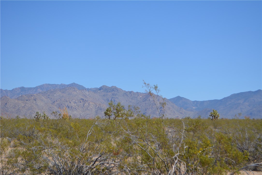 Lot P6 Suzette Road Yucca, AZ 86438 - Photo 42 of 100 Hualapai Mountains