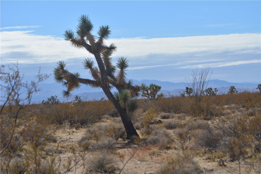 Lot P6 Suzette Road Yucca, AZ 86438 - Photo 46 of 100 View