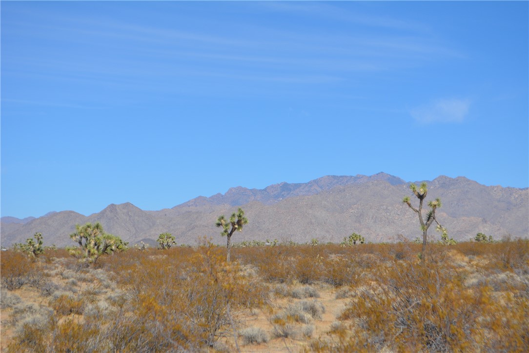 Lot P6 Suzette Road Yucca, AZ 86438 - Photo 51 of 100 View