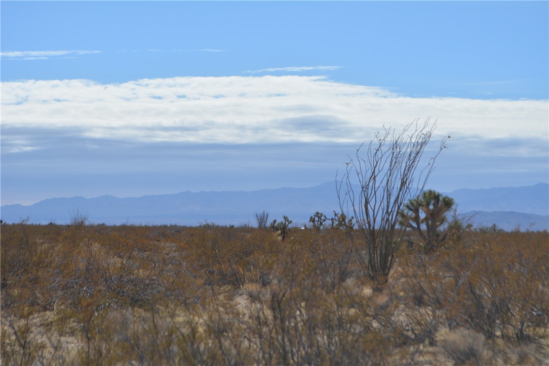 Lot P6 Suzette Road Yucca, AZ 86438 - Photo 59 of 100 View
