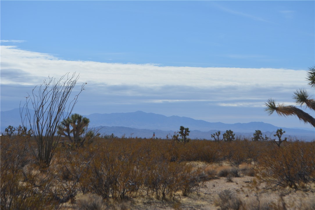 Lot P6 Suzette Road Yucca, AZ 86438 - Photo 60 of 100 View