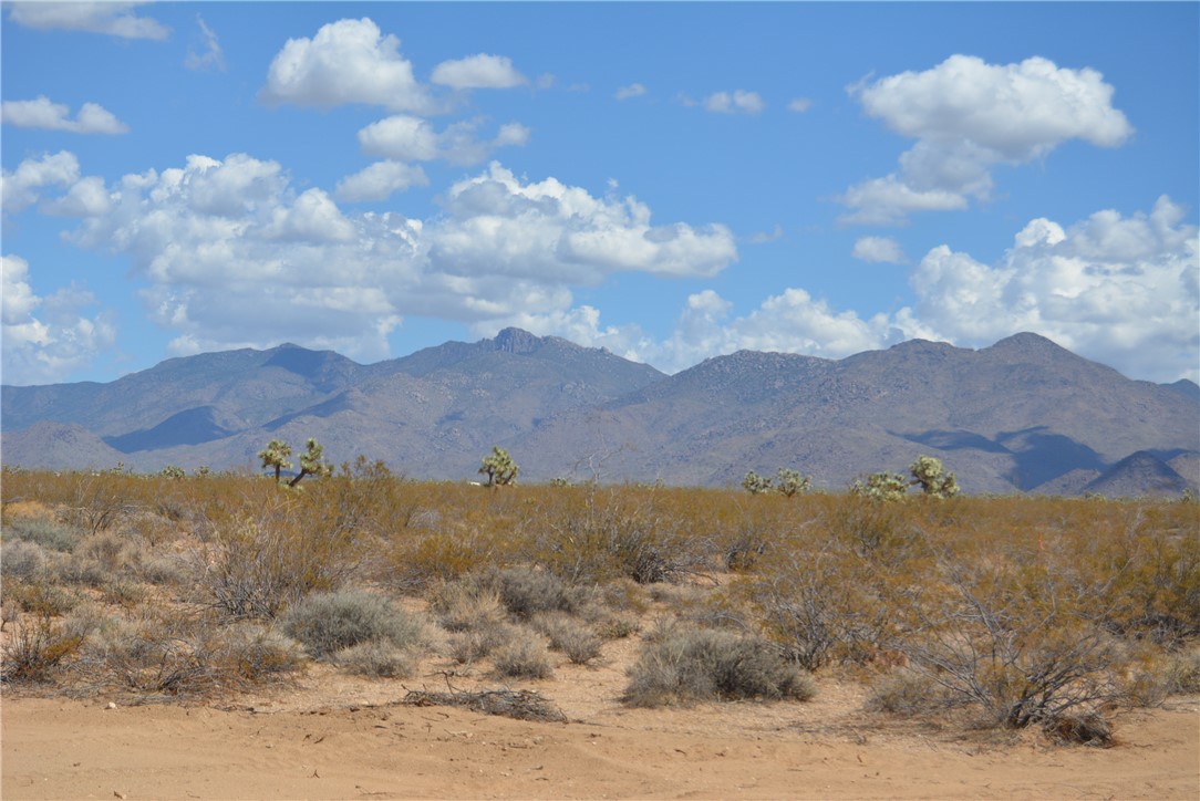 Lot P6 Suzette Road Yucca, AZ 86438 - Photo 7 of 100 View