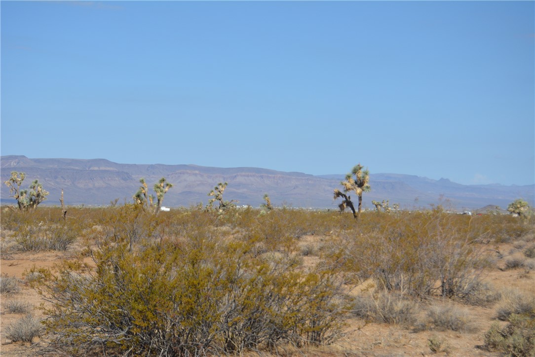 Lot P6 Suzette Road Yucca, AZ 86438 - Photo 74 of 100 View