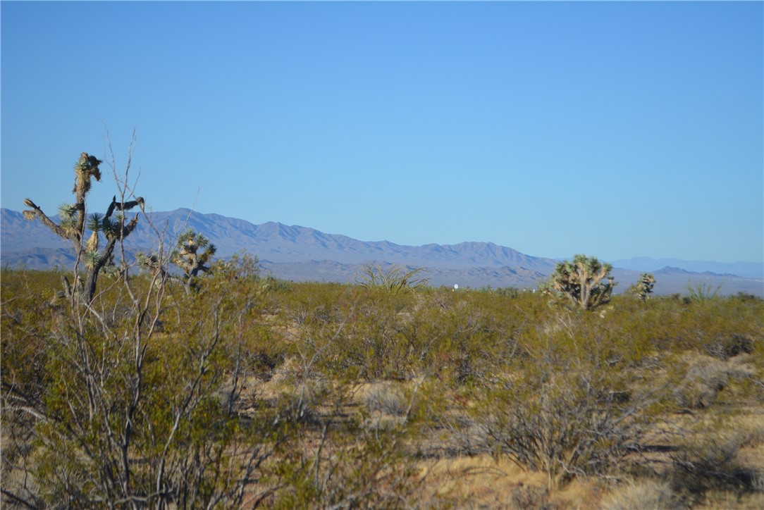Lot P6 Suzette Road Yucca, AZ 86438 - Photo 80 of 100 View