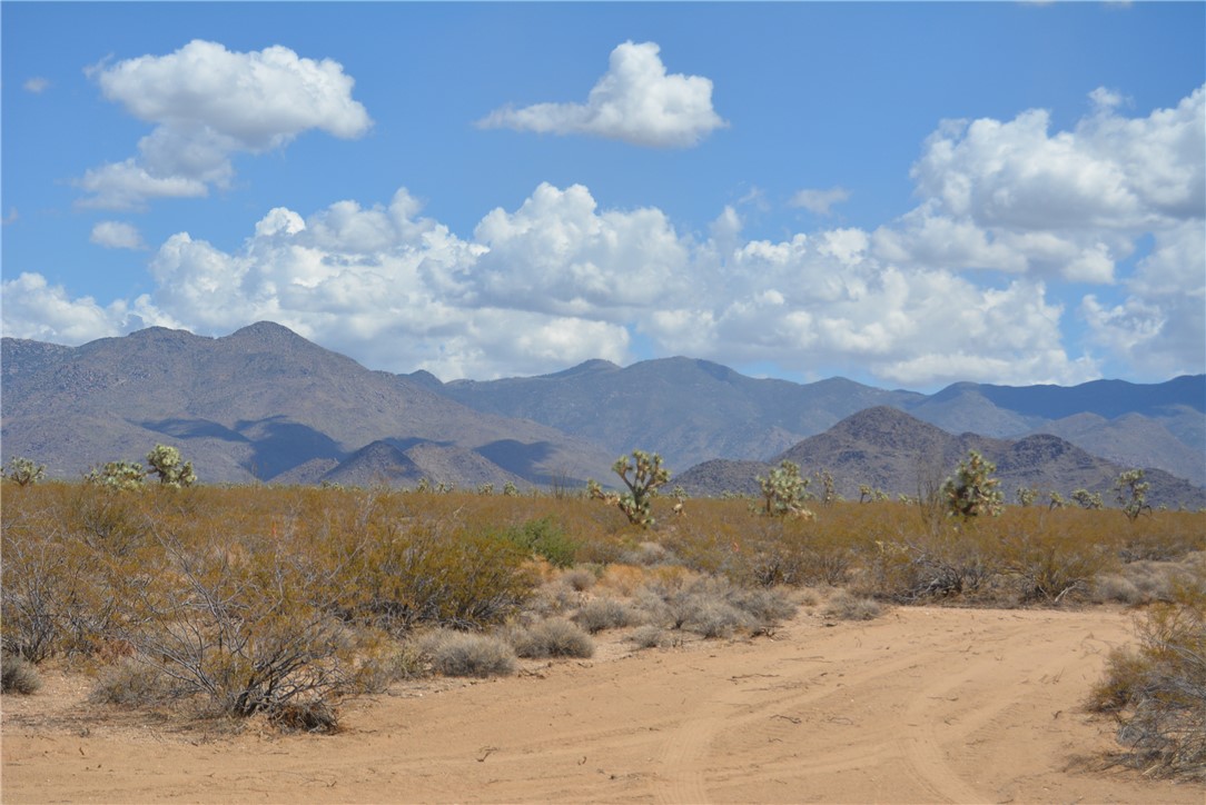 Lot P6 Suzette Road Yucca, AZ 86438 - Photo 8 of 100 View