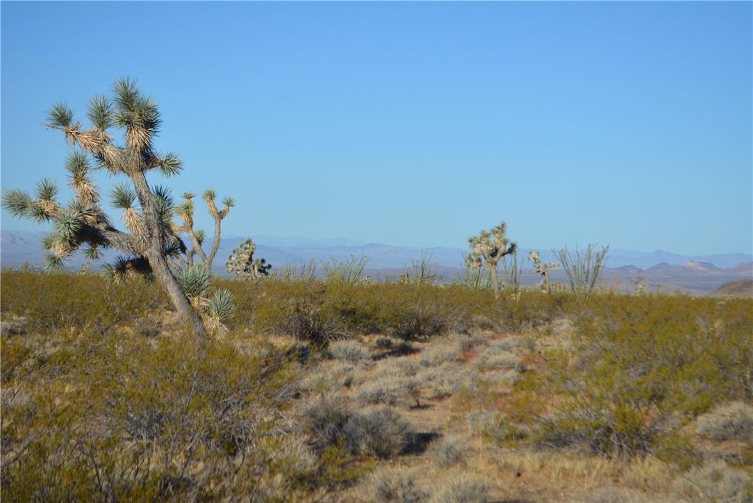 Lot P6 Suzette Road Yucca, AZ 86438 - Photo 83 of 100 View