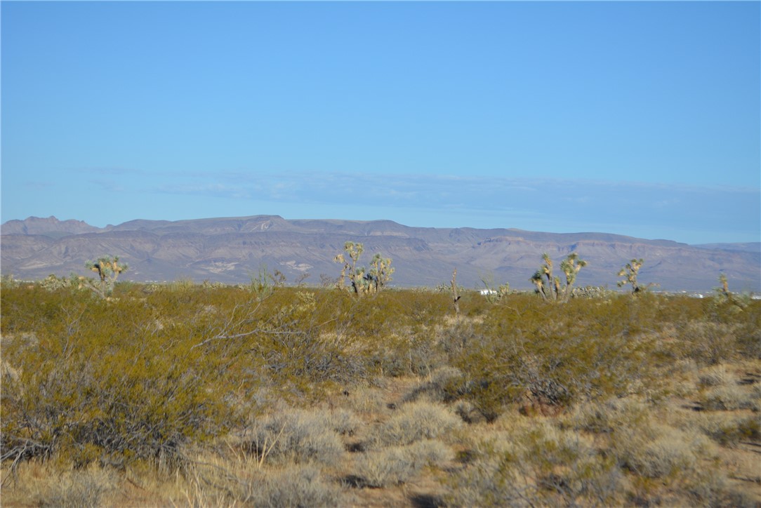 Lot P6 Suzette Road Yucca, AZ 86438 - Photo 86 of 100 View