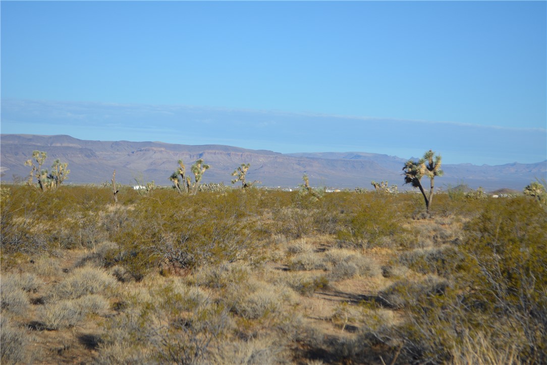 Lot P6 Suzette Road Yucca, AZ 86438 - Photo 87 of 100 View