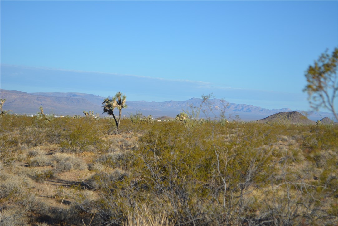 Lot P6 Suzette Road Yucca, AZ 86438 - Photo 88 of 100 View