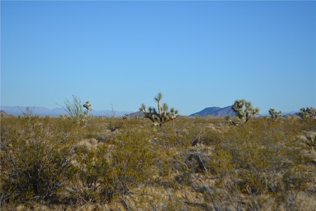 Lot P6 Suzette Road Yucca, AZ 86438 - Photo 90 of 100 View