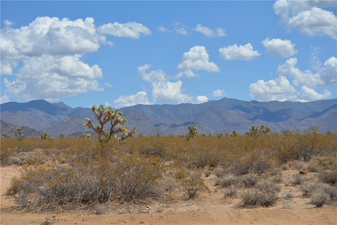 Lot P6 Suzette Road Yucca, AZ 86438 - Photo 9 of 100 View