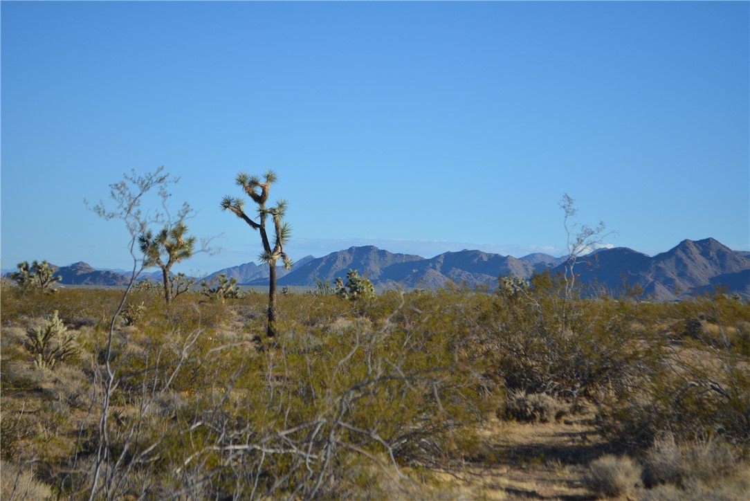 Lot P6 Suzette Road Yucca, AZ 86438 - Photo 92 of 100 View
