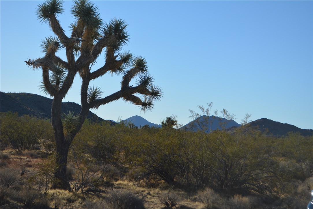 Lot P6 Suzette Road Yucca, AZ 86438 - Photo 95 of 100 View