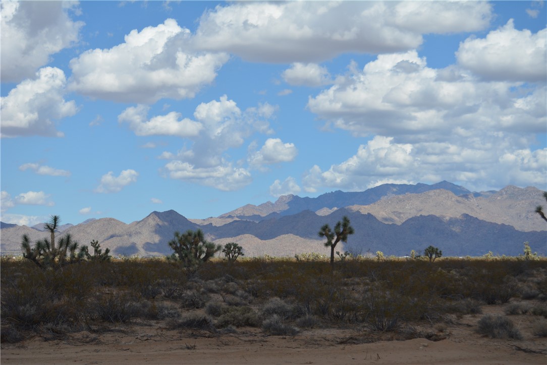Lot P6 Suzette Road Yucca, AZ 86438 - Photo 99 of 100 View