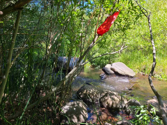 a backyard of a house with lots of green space and a fountain