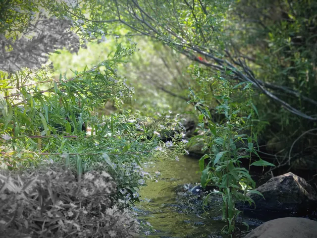 a view of outdoor space and yard