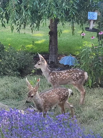 a view of outdoor space with city view