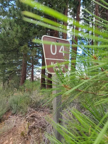 a view of a lake in a forest