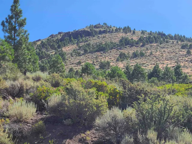 $48,000 | 598 Longhorn Drive, Loyalton, CA 96118