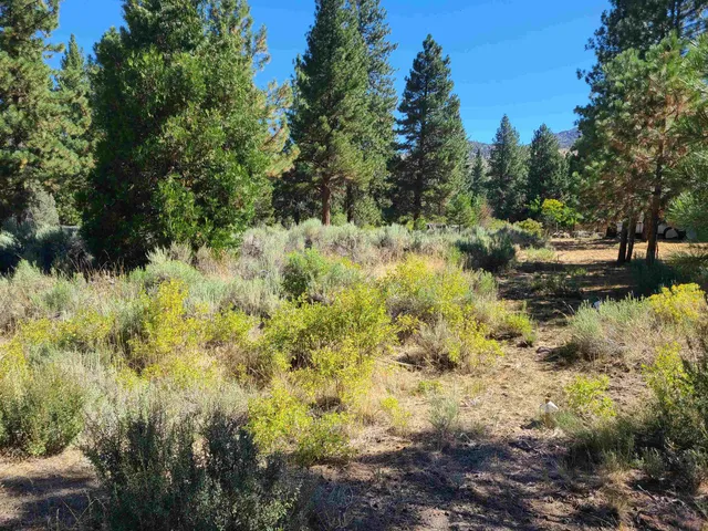 a view of a lake with a house in the background
