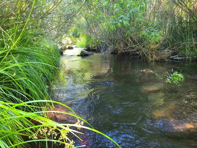 a view of a lake with a house