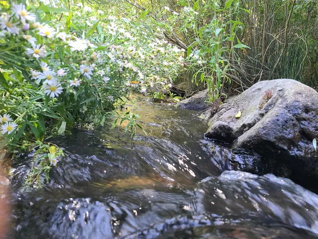 a view of an outdoor space