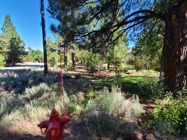 a view of a lake with houses