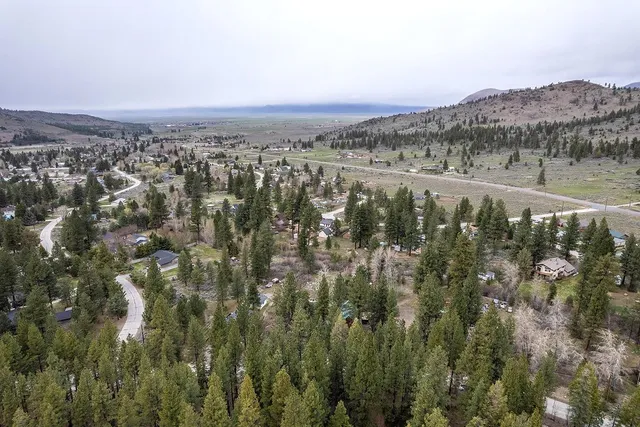 an aerial view of residential houses with outdoor space and trees