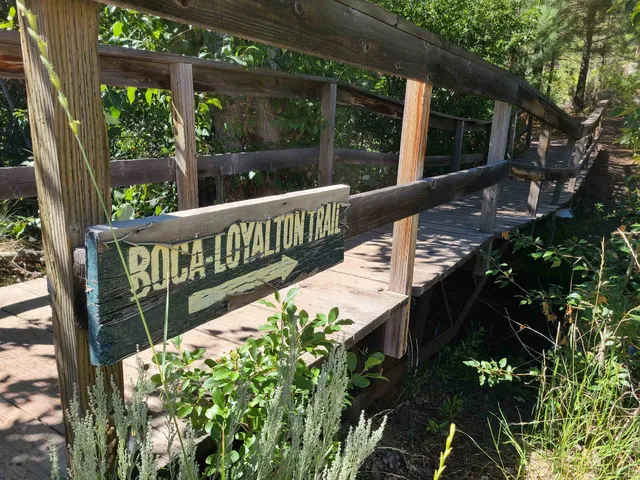 a view of lake with mountain