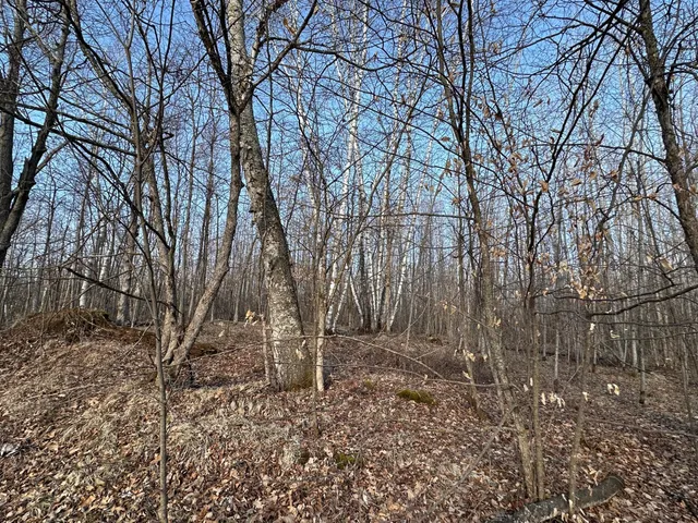 $75,000 | Tbd Bass Lake Road, Osage, MN 56570