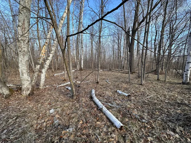 $75,000 | Tbd Bass Lake Road, Osage, MN 56570