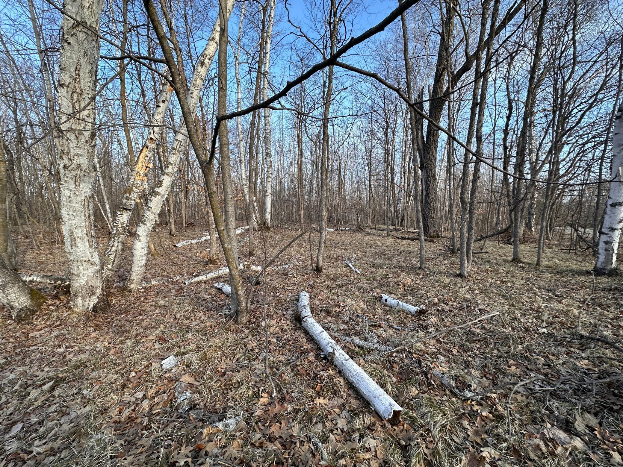 Tbd Bass Lake Road Osage, MN 56570 - Photo 13 of 21
