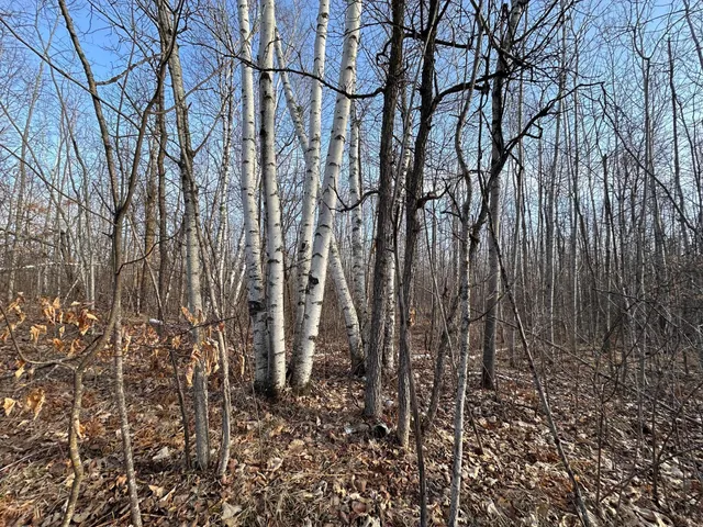 $75,000 | Tbd Bass Lake Road, Osage, MN 56570