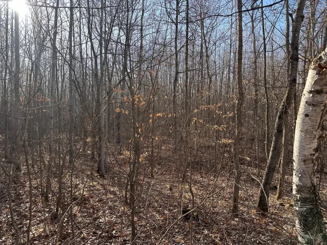 $75,000 | Tbd Bass Lake Road, Osage, MN 56570