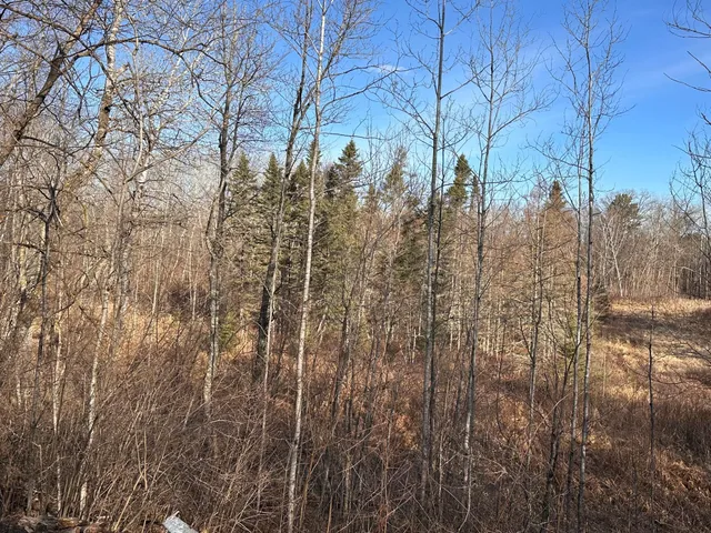 $75,000 | Tbd Bass Lake Road, Osage, MN 56570