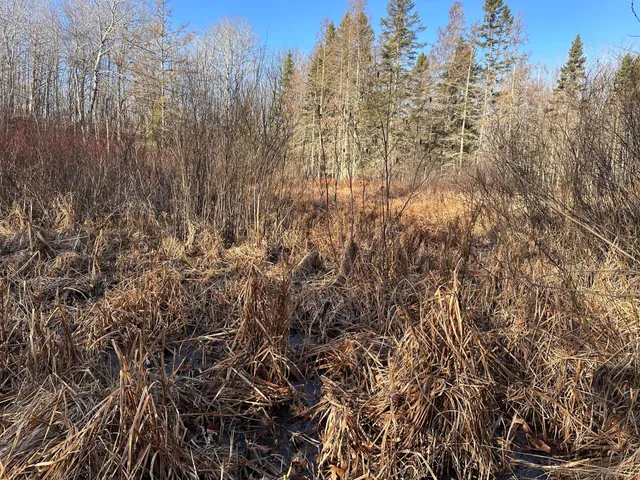 $75,000 | Tbd Bass Lake Road, Osage, MN 56570