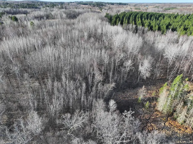 $75,000 | Tbd Bass Lake Road, Osage, MN 56570