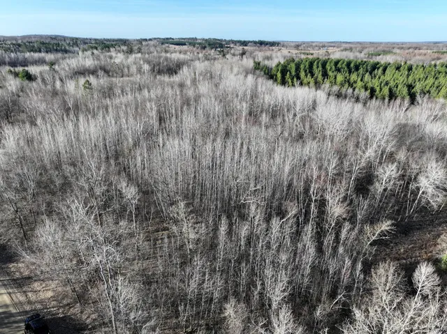 $75,000 | Tbd Bass Lake Road, Osage, MN 56570