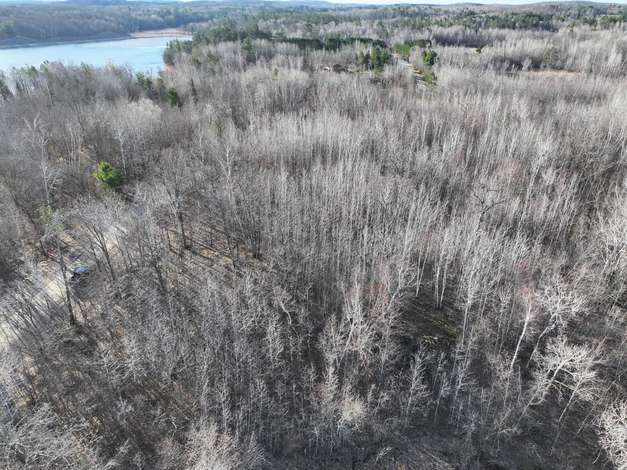Tbd Bass Lake Road Osage, MN 56570 - Photo 4 of 21