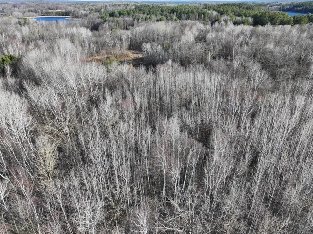 $75,000 | Tbd Bass Lake Road, Osage, MN 56570
