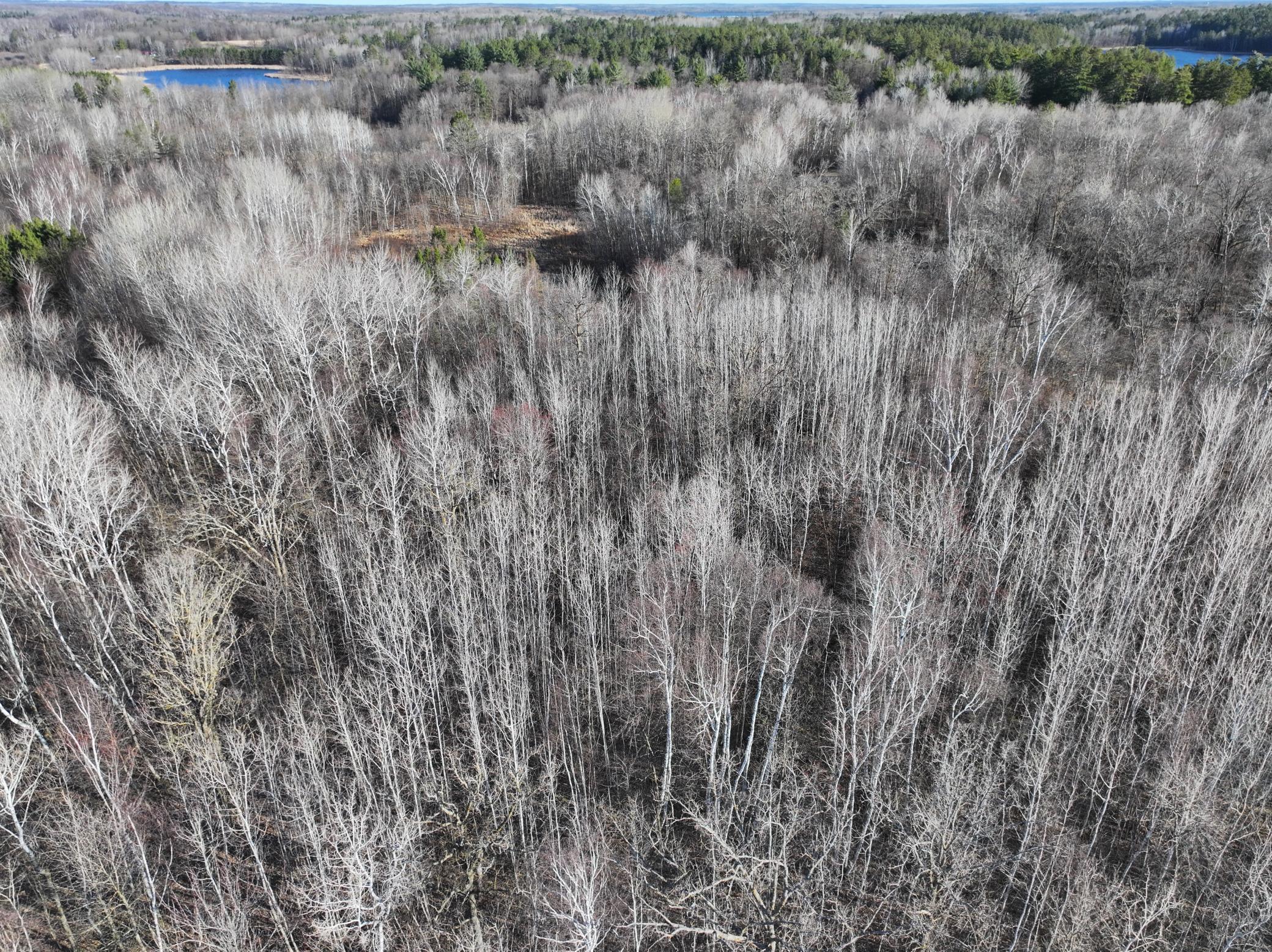 Tbd Bass Lake Road Osage, MN 56570 - Photo 6 of 21