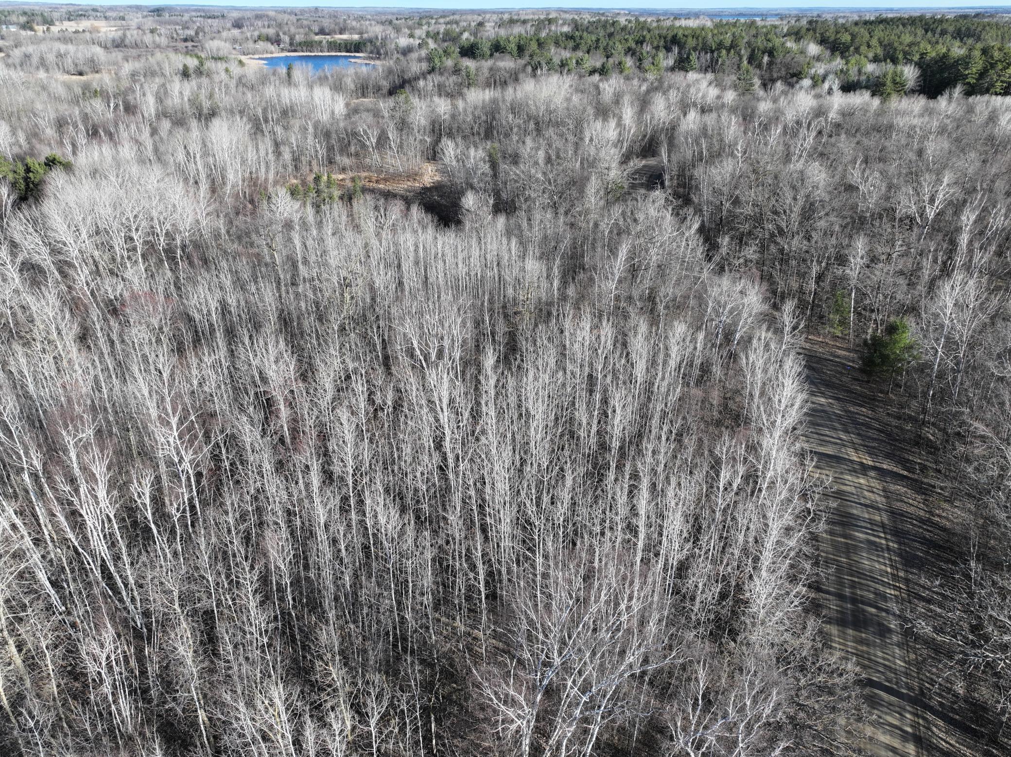 Tbd Bass Lake Road Osage, MN 56570 - Photo 7 of 21