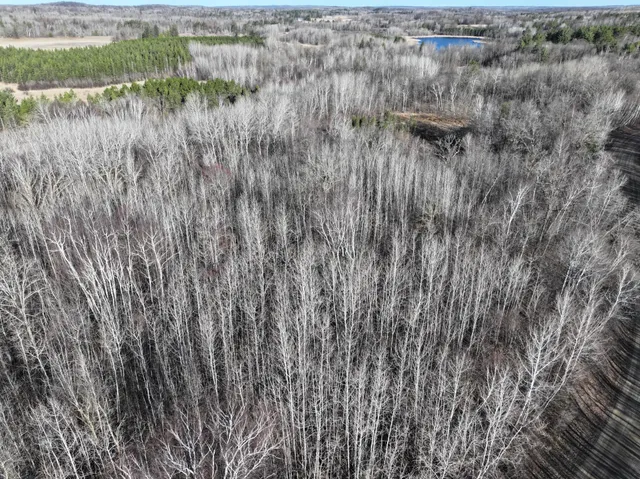 $75,000 | Tbd Bass Lake Road, Osage, MN 56570