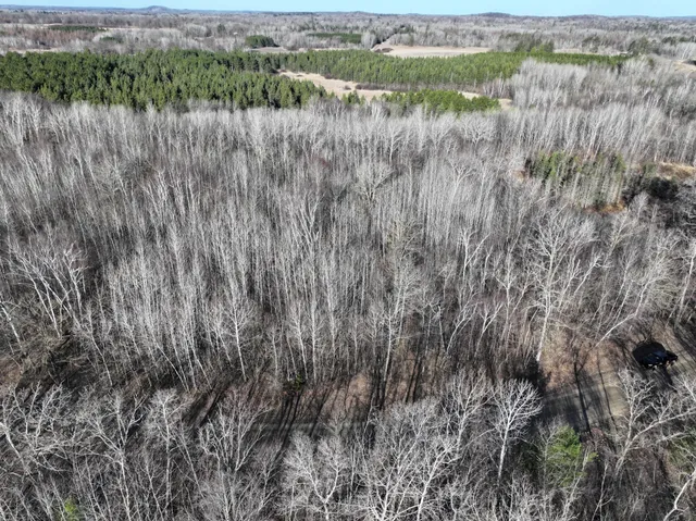 $75,000 | Tbd Bass Lake Road, Osage, MN 56570