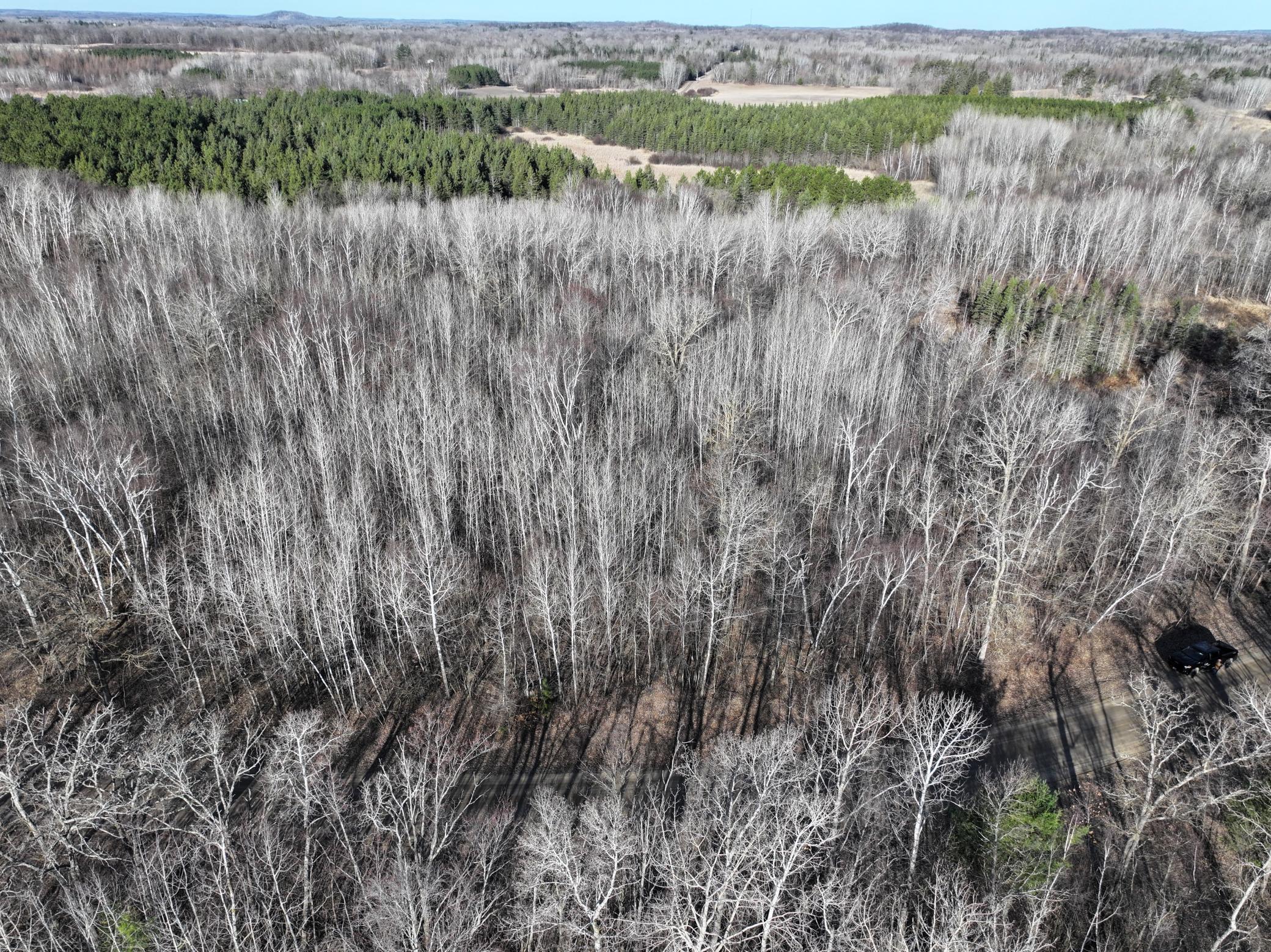 Tbd Bass Lake Road Osage, MN 56570 - Photo 9 of 21